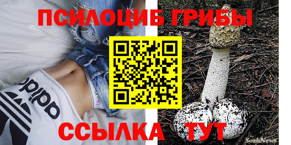 Псилоцибиновые грибы Magic Shrooms Гусиноозёрск