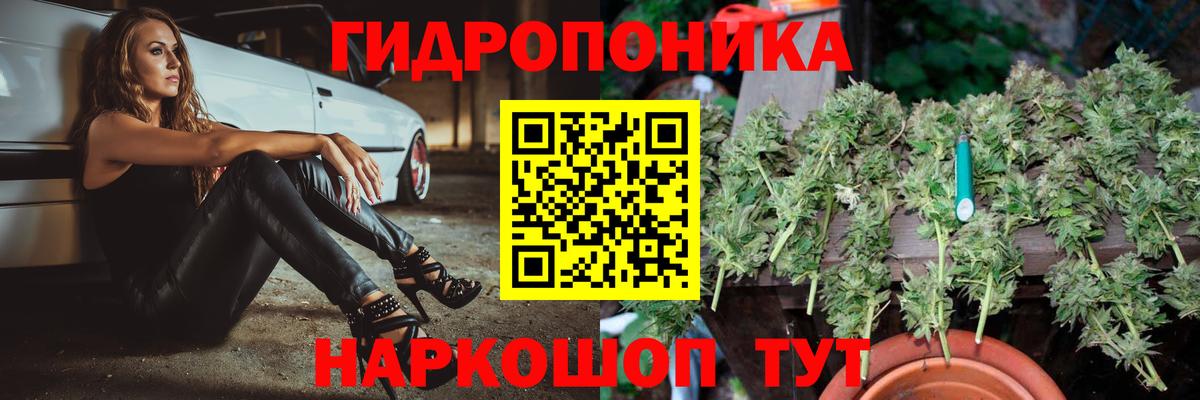 Каннабис марихуана  Каннабис ГИДРОПОН  Вход с VPN  Каннабис Ganja  Гусиноозёрск 